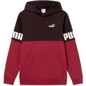Puma Power Colorblock Hoodie