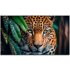 Videowall Monitor Newline Interactive STV-4324P 43" 4K Ultra HD