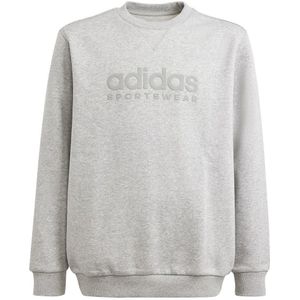 Adidas All Szn Graphic Sweatshirt Grijs 13-14 Years Jongen