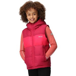 Regatta Lofthouse Vest