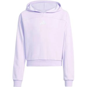 Adidas Holiday Glam Cropped Hoodie