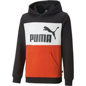 Puma Ess Colorblock Hoodie