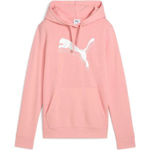 Puma Select Ess Metallic Regular Fit Hoodie