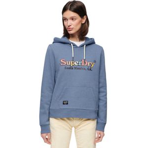 Superdry Rainbow Logo Graphic Hoodie