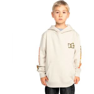 Dc Shoes - Hot Box Ph - Hoodie - Zwart - Middelzware Katoenmix