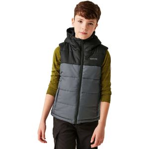 Regatta Lofthouse B/w Ii Vest