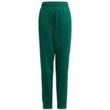 Adidas - Fleecebroek - Junioren - Warm - AEROREADY - Reflecterende Details