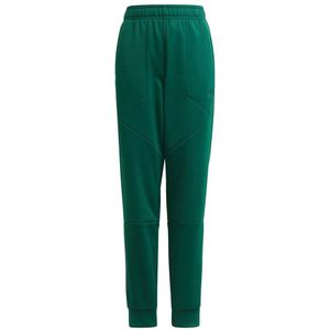 Adidas - Fleecebroek - Junioren - Warm - AEROREADY - Reflecterende Details