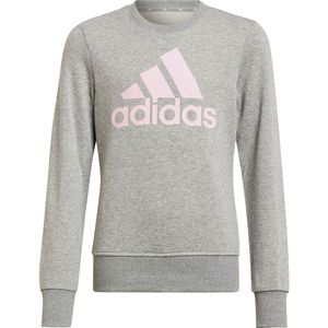 Adidas Bl Sweatshirt Grijs 6-7 Years