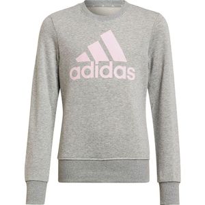 Adidas Bl Sweatshirt