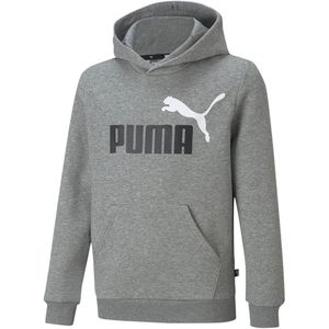Puma Essentials+ 2 Col Big Logo Fl Sweatshirt Grijs 3-4 Years