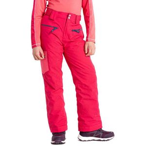 Dare2b Timeout Ii Pants Roze 15-16 Years Jongen