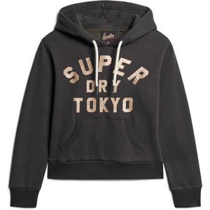 Superdry Glitter Graphic Logo Hoodie