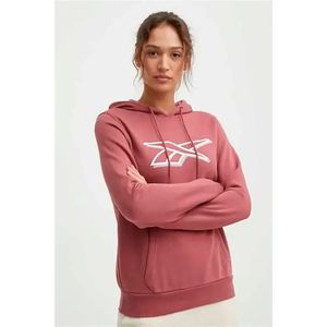 Reebok Vector Graphic Oth Hoodie