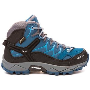 Salewa Alp Trainer Mid Goretex Hiking Boots Blauw EU 32