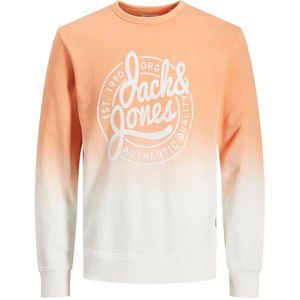 Jack & Jones Tarif Sweatshirt