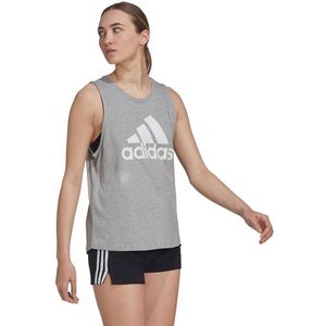 Adidas Essentials Big Logo Sleeveless T-shirt Grijs M / Regular Vrouw