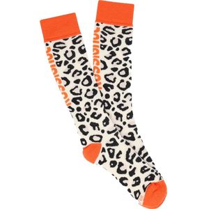 Rossignol Allover Sokken