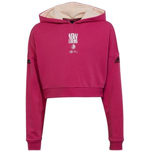 Adidas Arkd3 Ch Hoodie Roze 7-8 Years