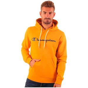 Champion 214743 Hoodie