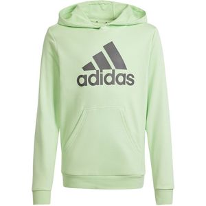 Adidas Big Logo Hoodie