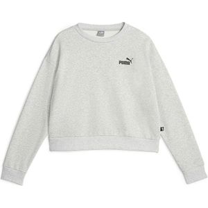 Puma Ess+ Relaxed Small L Sweatshirt