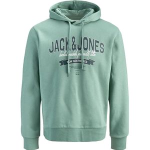 Jack & Jones 12258873 Logo 2 Colors Hoodie