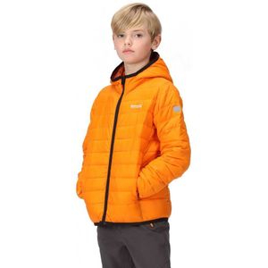 Regatta Marizion Jacket Oranje 9-10 Years Jongen