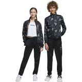 Adidas Seasonal Essentials Logo Celebration Tricot Trainingspak