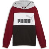 Puma Ess Block Hoodie