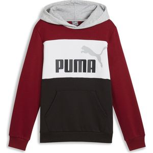 Puma Ess Block Hoodie