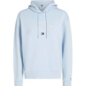 Tommy Hilfiger Modern Script Graphic Hoodie
