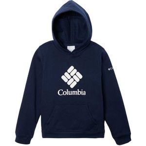 Columbia Trek™ Hoodie Blauw 8-9 Years Jongen