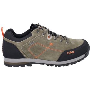 Cmp Alcor 2.0 Hiking Shoes Bruin EU 41 Man