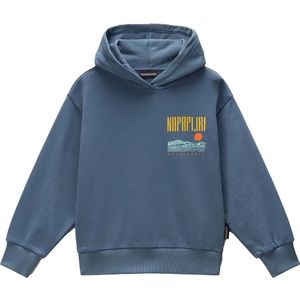 Napapijri Sella Hoodie