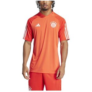 Adidas Fc Bayern Munich 23/24 Training T-shirt Met Korte Mouwen