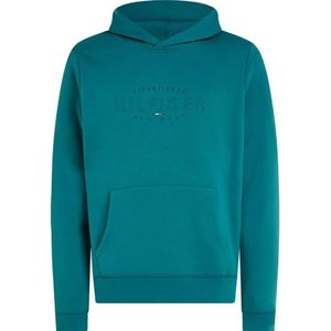 Tommy Hilfiger Curve Logo Hoodie