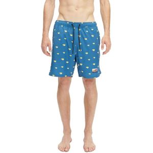 Hydroponic 16´ Dragon Ball Z Kintoun Zwembroek