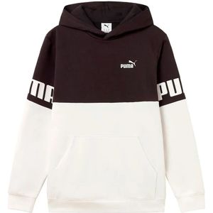 Puma Power Colorblock Hoodie