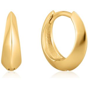 Ania Haie E025-05g Earrings Goud  Man