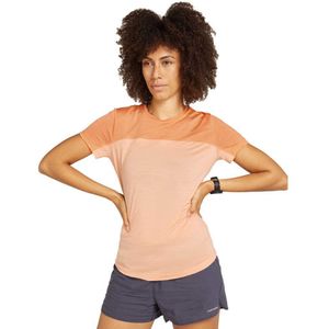 Icebreaker Merino 125 Cool-lite Sphere Iii Colour Block T-shirt Met Korte Mouwen