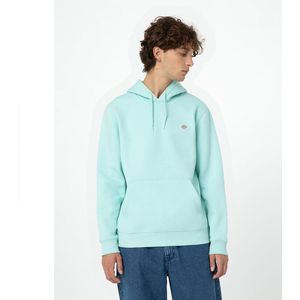 Dickies Oakport Hoodie