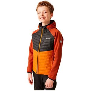 Regatta Kielder Hybrid Viii Jas