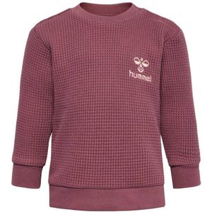 Hummel Cosy Sweatshirt Roze 4-6 Months Meisje