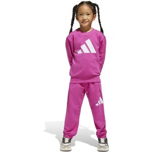 Adidas Essentials Joggers Set