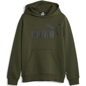 Puma Ess Big Logo Hoodie