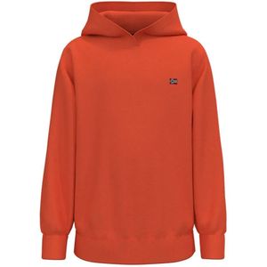 Napapijri Balis Hoodie