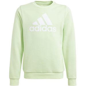 Adidas Essentials Big Logo Sweatshirt Groen 9-10 Years Meisje