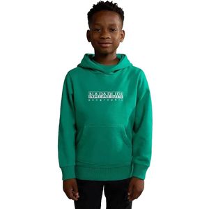 Napapijri B-box 1 Hoodie