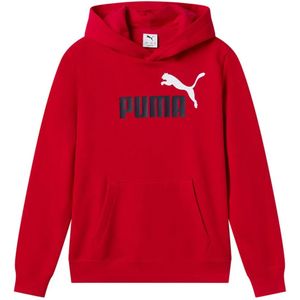 Puma Ess 2 Color Nº1 Logo Hoodie